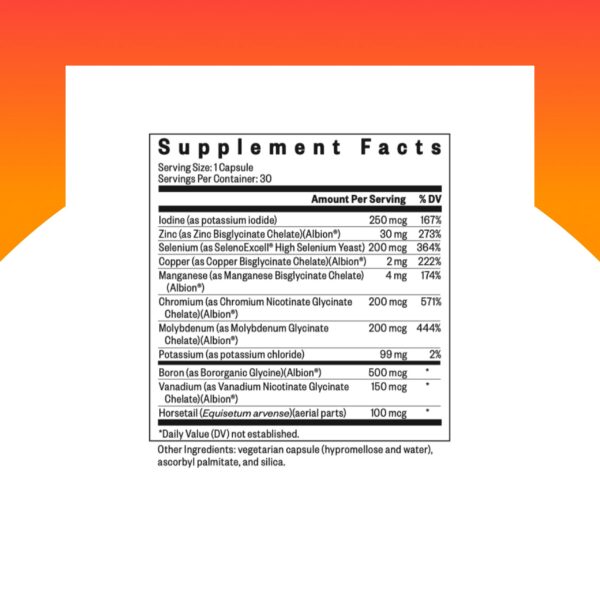 Version 1.0.0 Cápsulas alineadas sobre fondo blanco