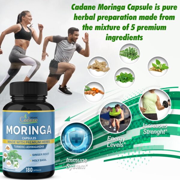 Cápsulas de moringa en mano para suplemento saludable