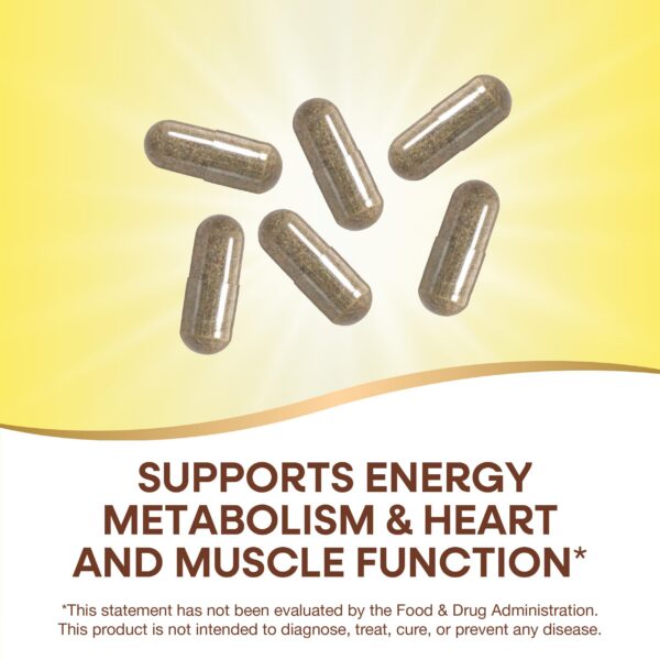 Cápsulas de multivitamínico Alive Max6 Potency Nature's Way