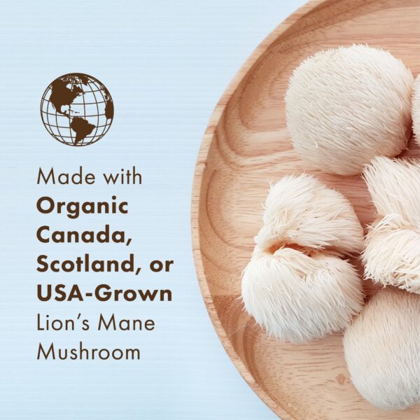 Cápsulas MyPure Lion's Mane para claridad mental y salud cerebral