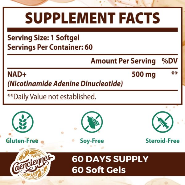 Version 1.0.0 Cápsulas NAD+ Liposomal para energía celular y salud