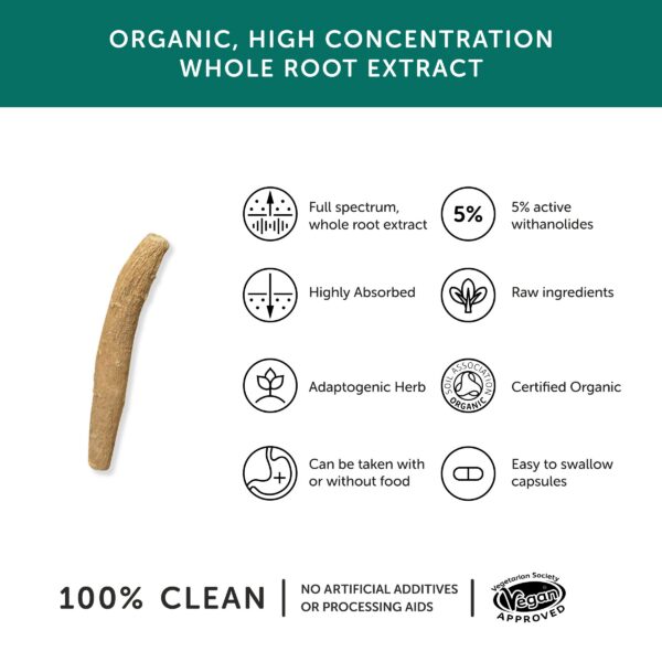 Capsulas naturales Ashwagandha para concentración y respuesta estrés