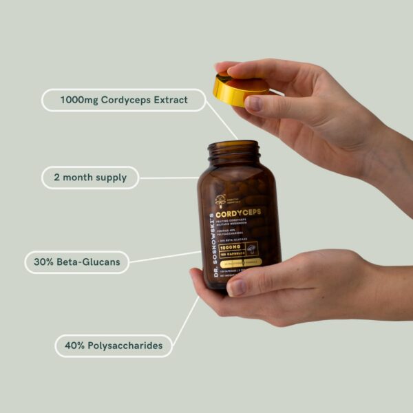 cápsulas naturales cordyceps extracto alto rendimiento