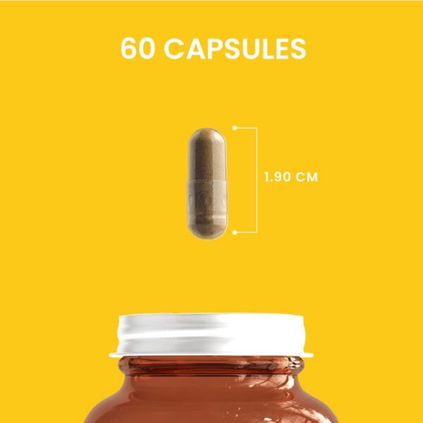 Cápsulas naturales hongos para ánimo HERBALY