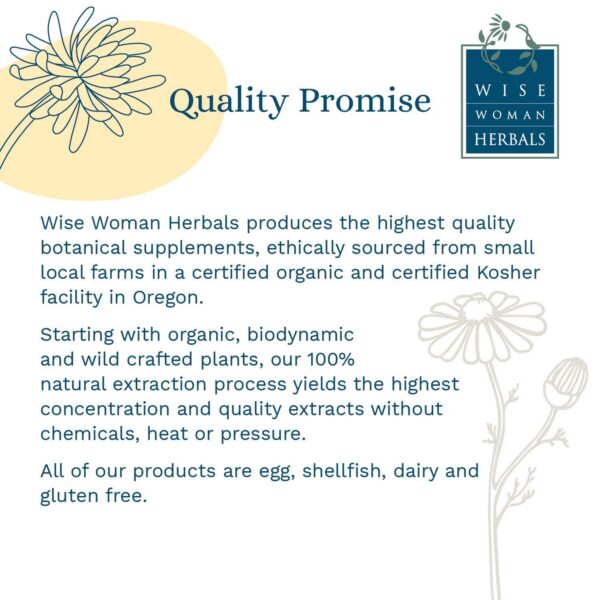 Cápsulas naturales para digestión Wise Woman Herbals