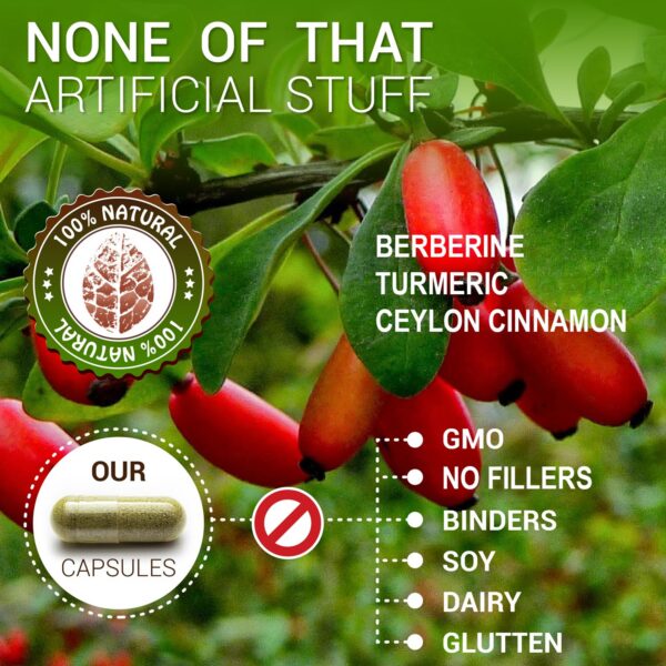Version 1.0.0 Cápsulas naturales SIRUNES berberina y canela ceilán