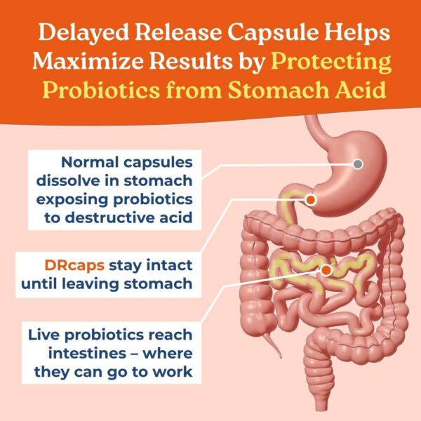 Cápsulas liberación retardada protegen ácido estomacal