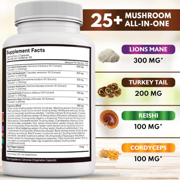 Cápsulas de melena de león NEW AGE sobre fondo blanco