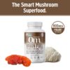 Cápsulas OM Mushroom con mezcla Reishi y melena de león
