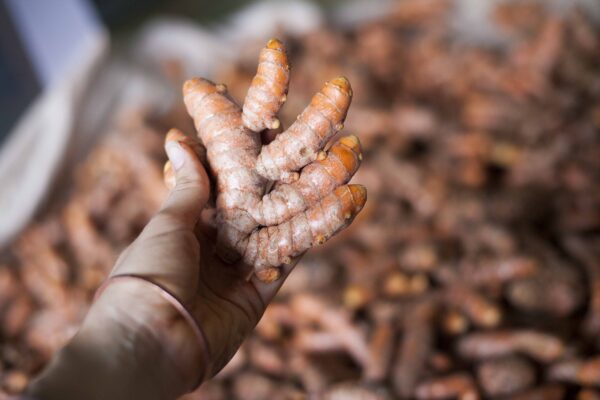 Cápsulas veganas 440mg cúrcuma y pimienta negra 90 capsulas