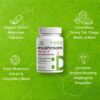 Cápsulas orgánicas de hongos para energía e inmunidad DEAL SUPPLEMENT