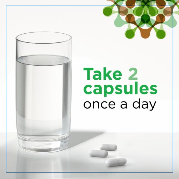 Cápsulas orgánicas Melena de León Plantvital