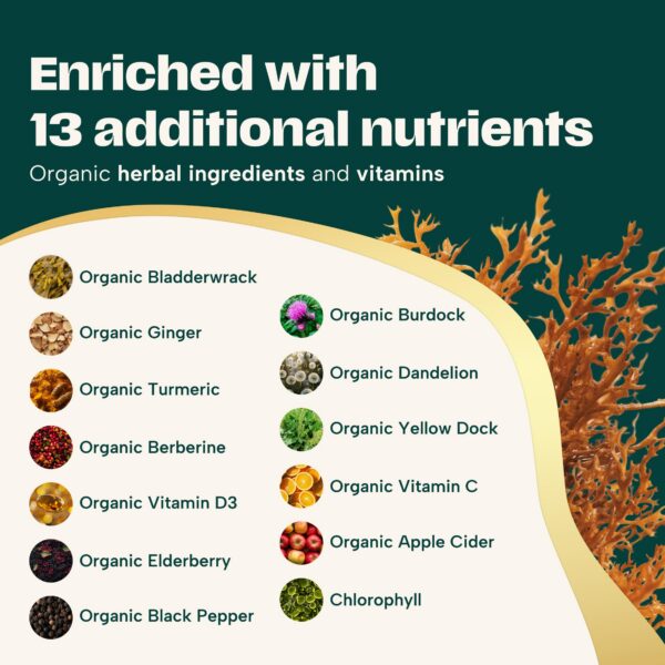 Cápsulas Orgánicas Musgo de Mar y Ashwagandha para salud y bienestar