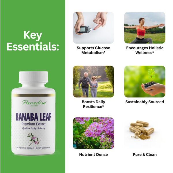 Cápsulas Paradise Herbs hoja de banaba 12:1 extracto 250 mg