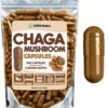 Cápsulas premium hongo chaga XPRS Nutra paquete