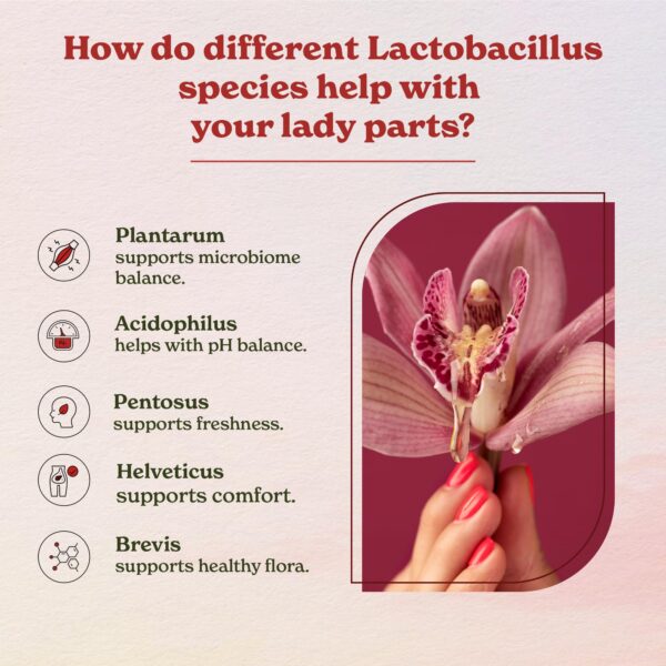 Version 1.0.0 Cápsulas probióticas Better Alt para bienestar digestivo femenino