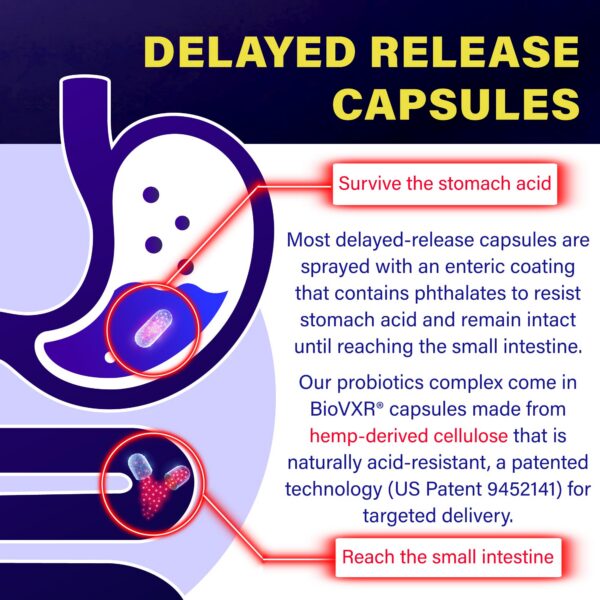 Capsulas probióticas FOLONA cuidado intestinal