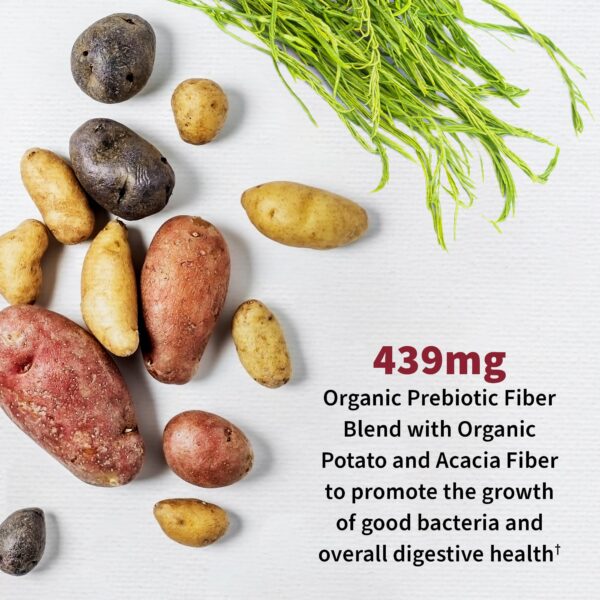 Cápsulas probióticas Garden of Life para digestión y salud