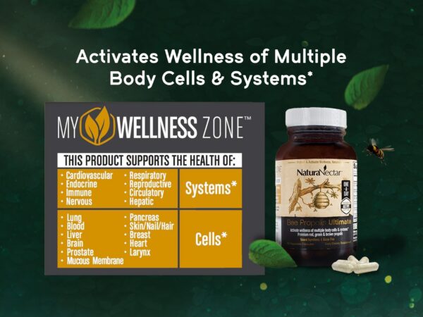 Cápsulas de propóleo para enfoque y concentración