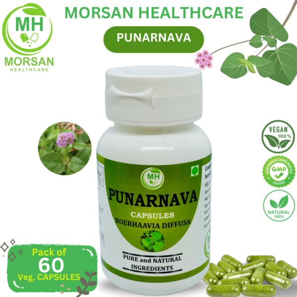 cápsulas Punarnava 500mg naturales hierbas vegetales