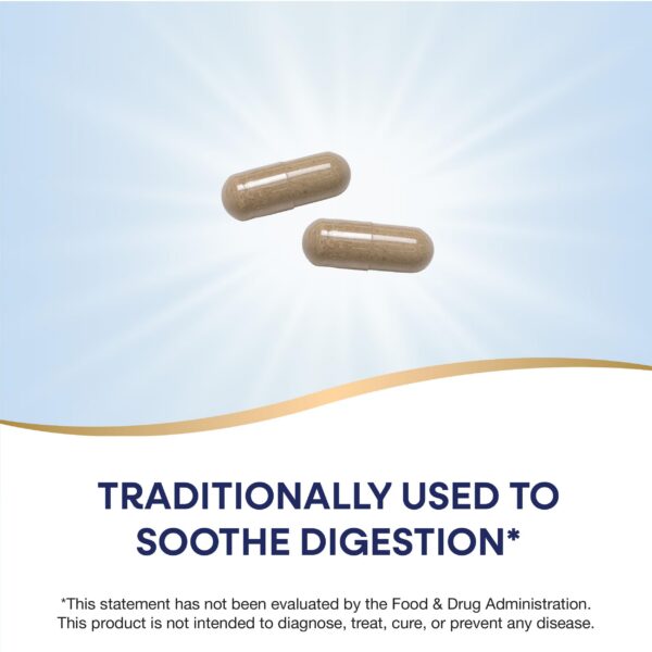 Version 1.0.0 Cápsulas de raíz de malvavisco Nature's Way 100 cuenta pack