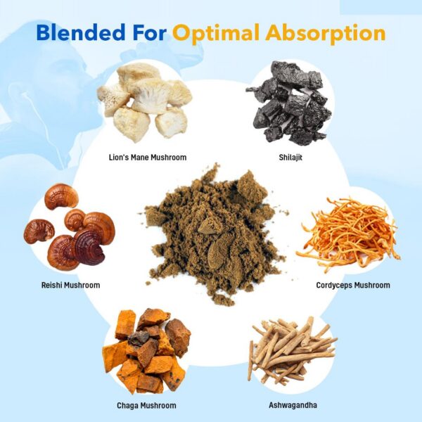 Cápsulas de reishi y chaga