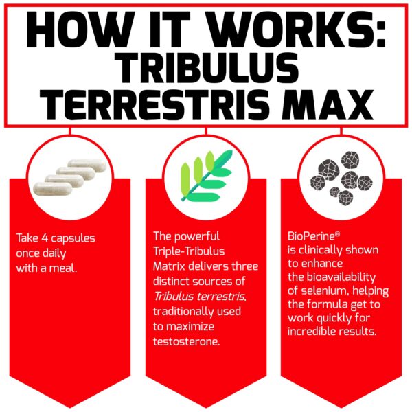 Cápsulas rojas Tribulus Terrestris Max para vitalidad y testosterona