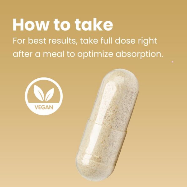 Cápsulas Sanar Naturals apoyo memoria y concentración Lions Mane