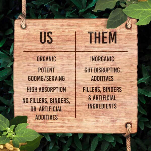 Cápsulas Santa Cruz Paleo sin gluten ni azúcar