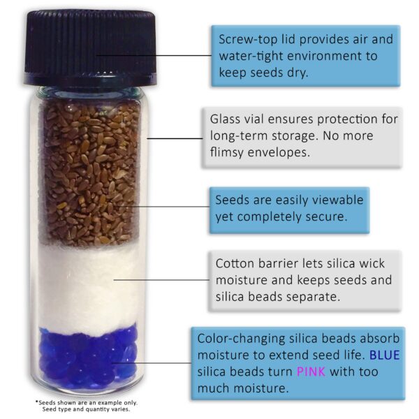 Cápsulas de semillas congeladas Valeriana en frasco de vidrio