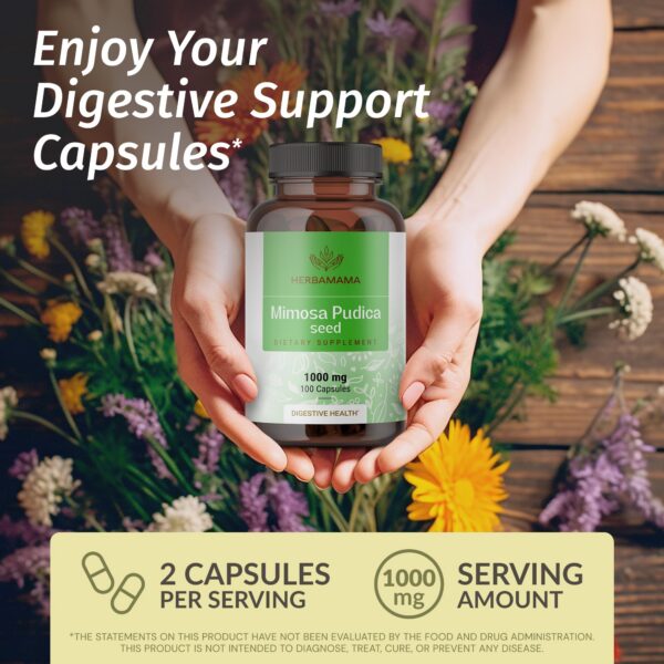 Cápsulas de semillas Mimosa Pudica Herbamama