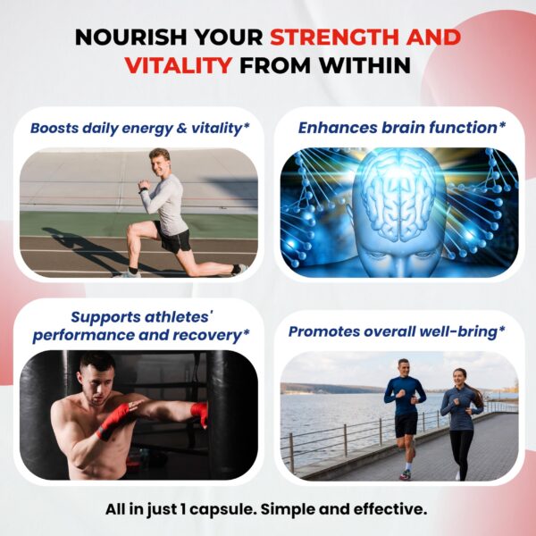 Cápsulas de Shilajit 12 en 1 Ultra Herbs presentación