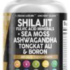 Version 1.0.0 Cápsulas de suplemento de shilajit Clean Nutraceuticals en envase