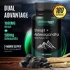 Cápsulas de Shilajit puro y Ashwagandha para energía y estrés