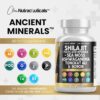 Version 1.0.0 Cápsulas de shilajit mostrando su tamaño y forma