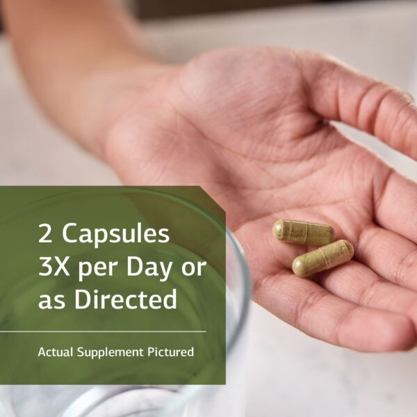 Version 1.0.0 Cápsulas Standard Process Green Food suplemento vegano