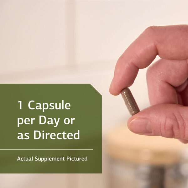 Cápsulas de Standard Process OPC Synergy con extractos naturales antioxidantes