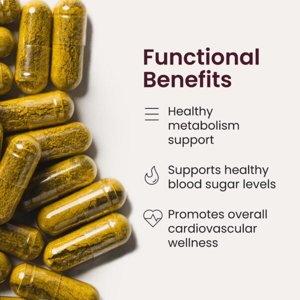 Version 1.0.0 Cápsulas supervisadas SuperBerine para colesterol y metabolismo