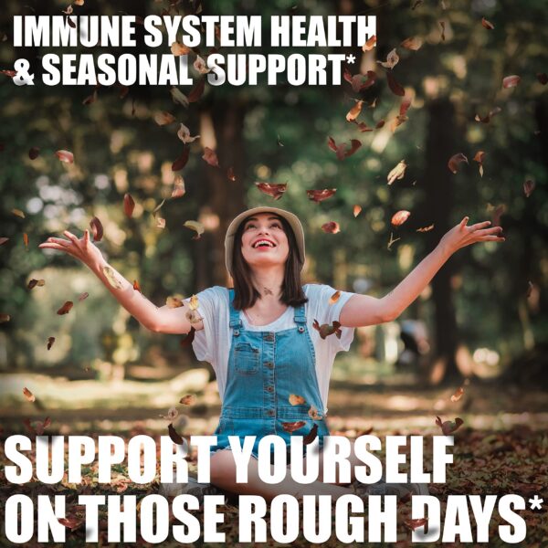 Cápsulas naturales suplemento antioxidante quercetina zinc