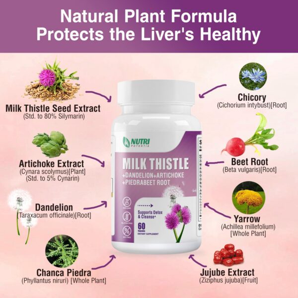 Version 1.0.0 Cápsulas suplemento cardo mariano NUTRI POTENTIA para detox