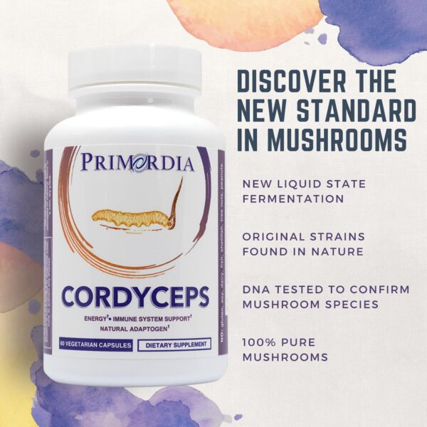 Cápsulas suplemento cordyceps Primordia