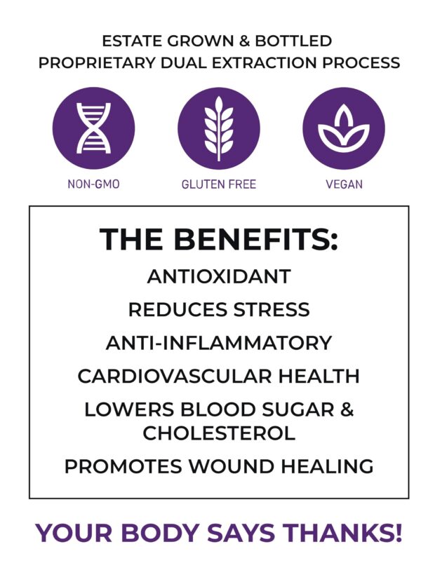 Cápsulas suplemento hongos The Mushroom Society