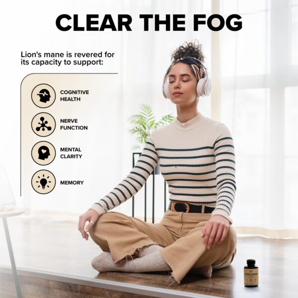 Cápsulas suplementos melena de león para enfoque y función nerviosa