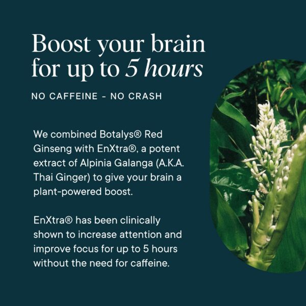 Cápsulas de suplemento para memoria Ora Organic