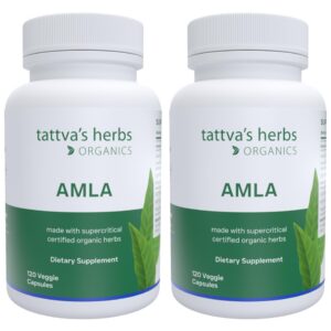 Cápsulas Tattva's Herbs Amla vitamina C antioxidante 240 unidades