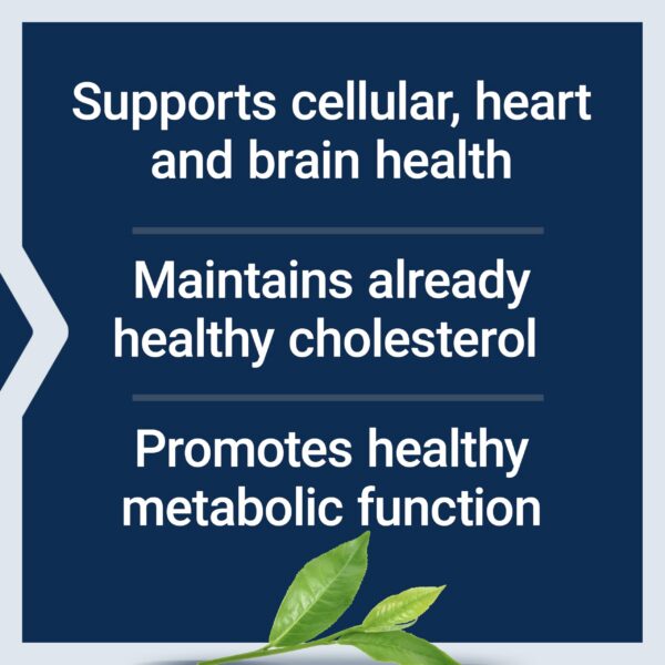 Cápsulas de té verde sin gluten y no GMO para salud