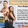 Version 1.0.0 Cápsulas de Tribulus terrestris para rendimiento muscular