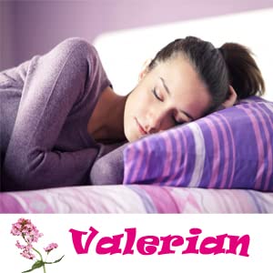 Cápsulas de valeriana orgánica mostradas en mano