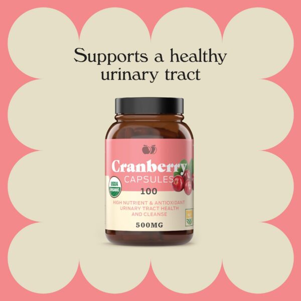 Cápsulas veganas con concentrado natural de arándano en polvo