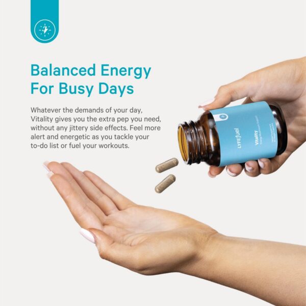 Cápsulas veganas de la mezcla adaptógena LyfeFuel